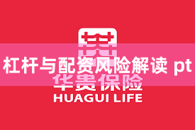 杠杆与配资风险解读 pt